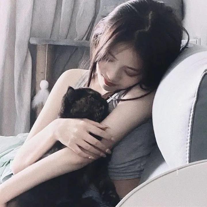 虹猫蓝兔火凤凰